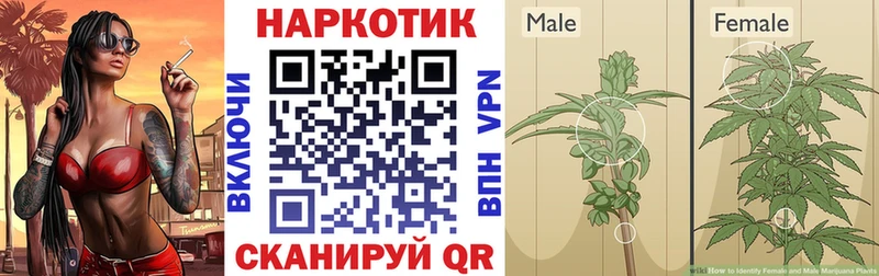 Как найти закладки Полевской Cocaine  Бошки Шишки  Alpha PVP  Псилоцибиновые грибы  Амфетамин  МЕФ  ГАШ 