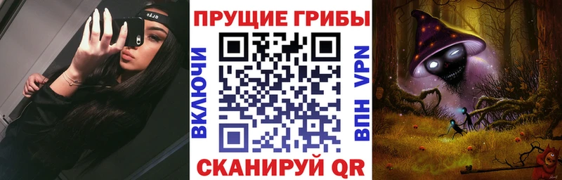 Галлюциногенные грибы Psilocybe kraken ССЫЛКА Полевской